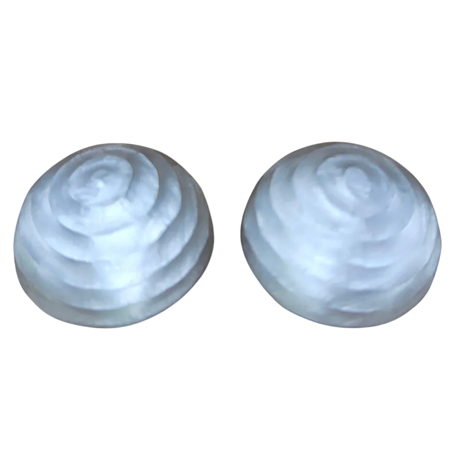 Vintage Lucite Alexis Bittar Earrings
