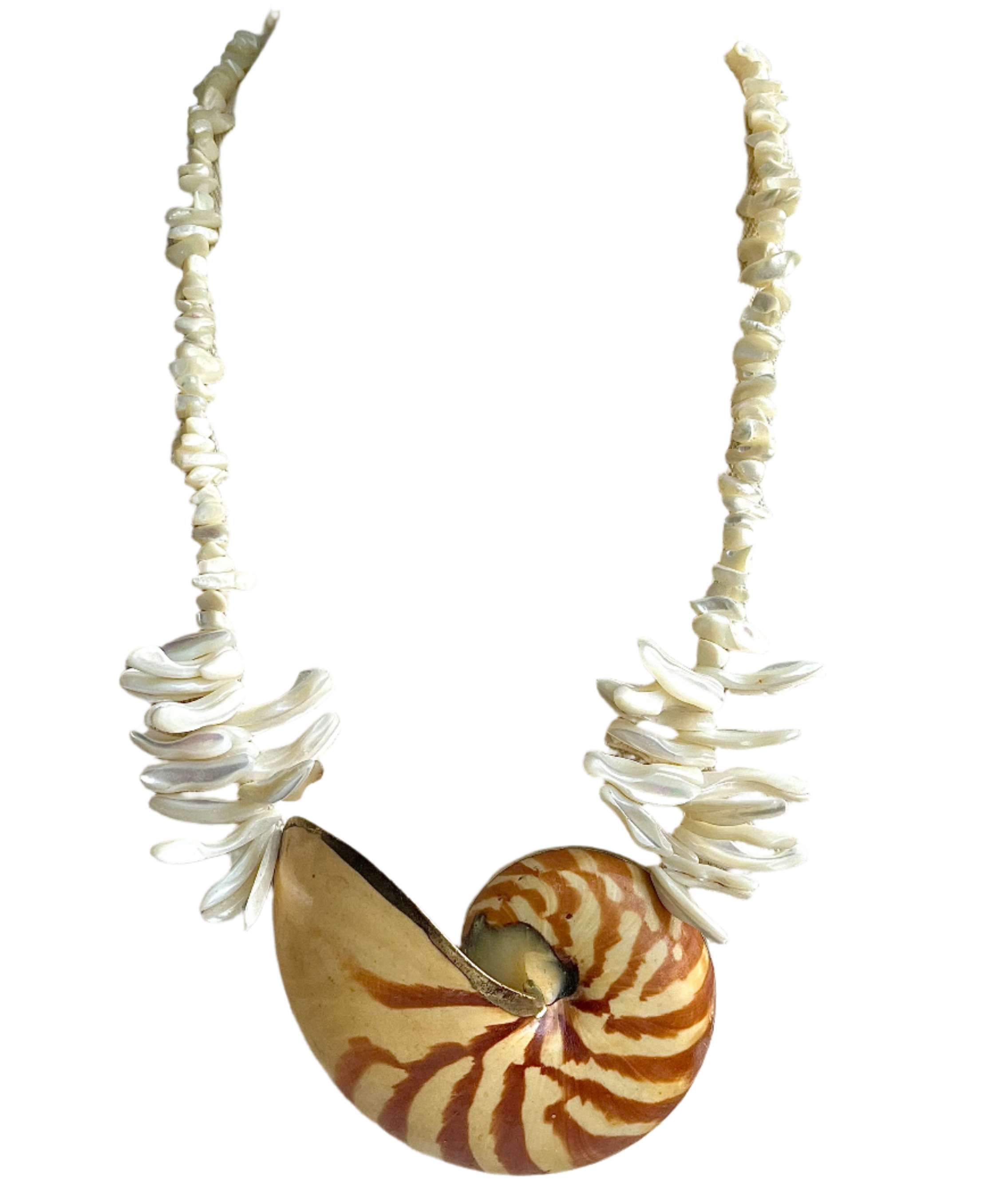 Fabulous Huge Nautilus Shell Statement Necklace